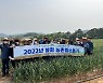 [사진뉴스] 홍성군 갈산면과 경제과, 마늘종 제거 일손 돕기
