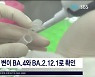 코로나 새 변이 BA.4 제주서 국내 첫  검출