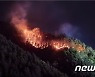 삼척 하장면 산불 8시간여 만에 진화..피해면적 1.5ha(종합2보)