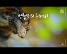 [영상+] 망월지의 두꺼비