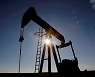 [국제유가] 공급우려 완화·달러 강세에.. WTI, 2.5%↓