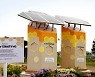 한화그룹, 5월 20일 UN 세계 꿀벌의 날 맞아 탄소저감벌집 '솔라비하이브' 공개