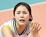 PAOK "계약 종료"..이다영 그리스 떠난다, 차기 행선지는 루마니아?