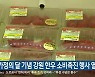 가정의 달 기념 강원 한우 소비촉진 행사 열려