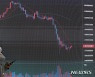 움츠린 코인시장 '스테이블 코인' 유의해야