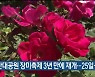 울산대공원 장미축제 3년 만에 재개..25일~29일