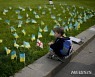 전사자 추모 국기 바라보는 우크라이나 소년