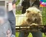 '살인견' 견주 발뺌하더니..불법 개사육장 주인 맞았다