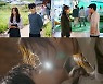 '키스 식스 센스' 윤계상X서지혜, 첫 공개부터 달콤살벌 케미 '로코의 정석'