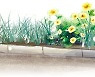 [길섶에서] 오월의 장미/이동구 에디터