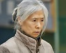예수정, 문가영 지킨다..센 할머니 변신 '예고' (링크)