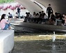 한 여름 폭염 응급조치, '이렇게' 하세요