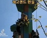 "자의로드롭" "부모만 고생" 레고랜드 후기 화제된 까닭