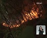 [특보] 경북 울진 산불 3단계 발령..4개 지역 주민 대피