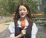[날씨] 주말 맑고 초여름 더위..강한 자외선 주의