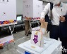 지방선거 사전투표율 20.52%..'역대 최고'