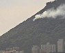 부산 영도구 봉래산서 불.. 3시간만에 진화