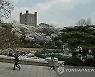 문과 침공 현실화..경희대 인문 정시합격 60%가 이과생