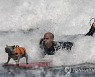 SPAIN DOG SURFING CHAMPIONSHIP