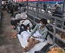 CHINA PANDEMIC CORONAVIRUS COVID19