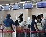 [뭐라노] 일본행 여객기 다시 날다