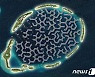 몰디브, 기후위기·해수면 상승 대응해 '떠다니는 수상도시' 건설