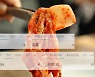 문제는 '구글 번역기'였다..아직도 '김치'를 '파오차이'로 번역