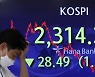 SK바사 -73%·카카오 -61%..증시 충격파 'BBIG'에 집중