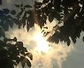 [날씨] 주말 전국 무더위..대구·강원 동해안 '폭염주의보'