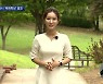 장마 소강상태..대구·경북 다시 '폭염특보'