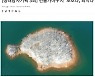 [이달의 기자상] 쿠키뉴스 '민물가마우지 '보호냐, 퇴치냐'' 등 7편