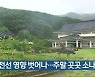 광주·전남 장마전선 영향 벗어나..주말 곳곳 소나기