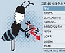 코로나이후 동학개미 투자, 손익분기점 깨졌다