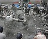 [핫플레이스] 뒹굴고, 묻히고, 던지고..세계인이 빠져든 '진흙탕' 매력