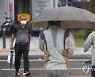 6월 장마 '쓴 우산 든 우산'