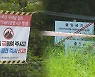 장마 본격화..ASF 감염 멧돼지 매몰지 관리 '비상'