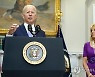 Biden Guns