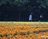 [오늘의 날씨]부산·경남(26일, 일)..경남내륙 5~50mm 소나기, 강풍 주의