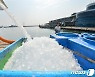 [오늘의 날씨]대구·경북(26일, 일)..한때 강한 소나기, 한낮 34도