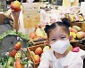 신세계百 '망고 페스티벌'