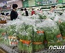 요동치는 농산물값.. 열무·감자·양파 '가격 껑충'