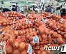 열무, 감자, 양파 등 생산량 감소 등에 가격 상승