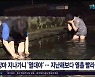 장마 지나가니 '열대야'..지난해보다 열흘 빨라
