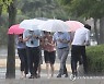 [날씨] 월요일 수도권 100mm 비..남부는 강한 소나기