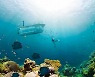 지금 베트남 가면 즐길 수 있는 세계 최초 360도 잠수함