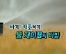 [연합뉴스TV 스페셜] 234회 : 싸게! 깨끗하게! 물 재이용의 비밀