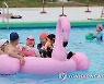 즐거운 물놀이