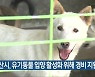 군산시, 유기동물 입양 활성화 위해 경비 지원