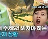[크랩] 태국 여행 갔다가 나도 모르게 대마초 한 사람이 될 수도?