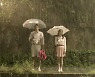 [OTT다방] 큐레이션 : 비 대신 감성에 젖어보자, 빗소리 가득한 장마철 추천영화 모음